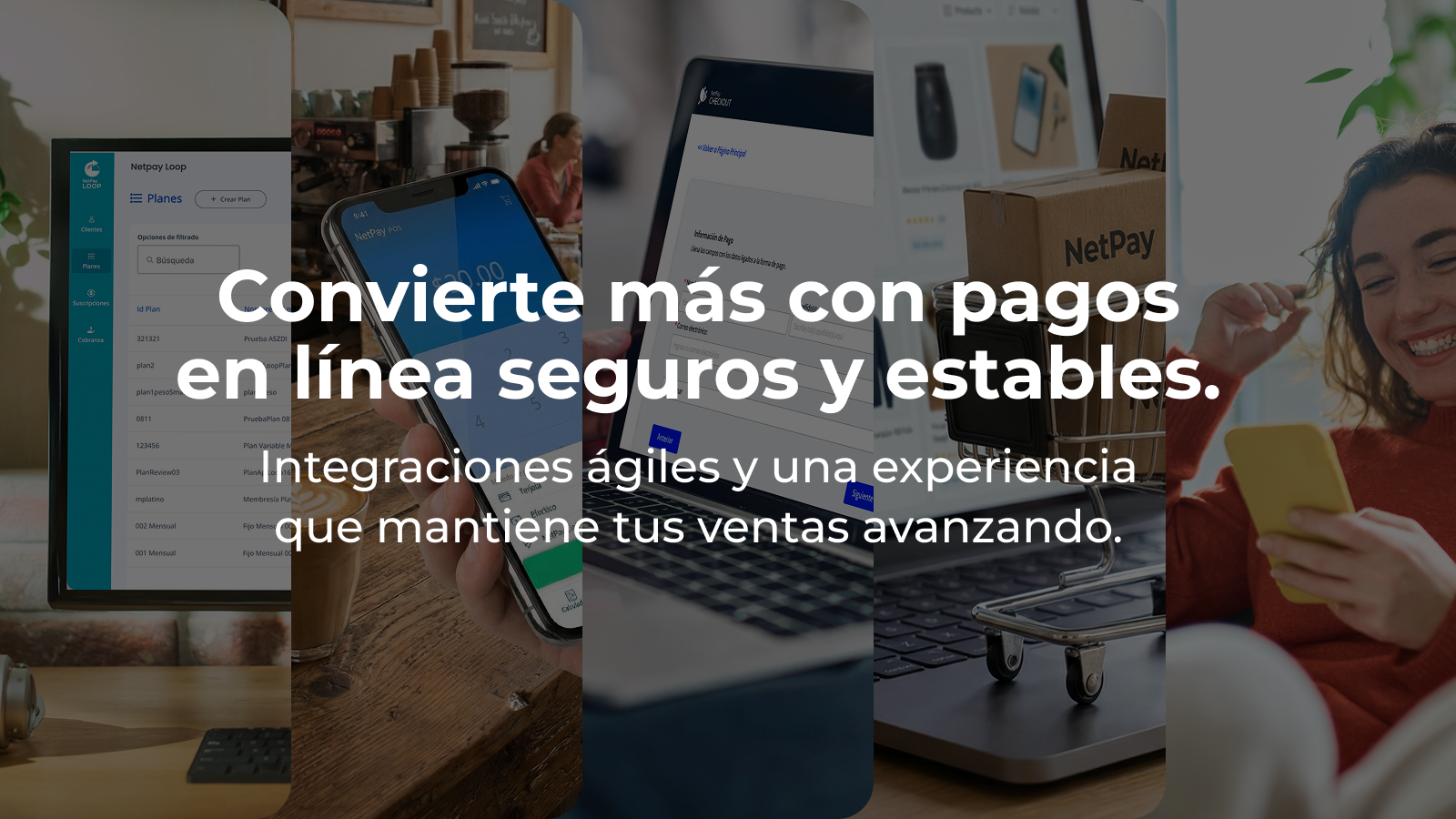 Pagos en línea NetPay